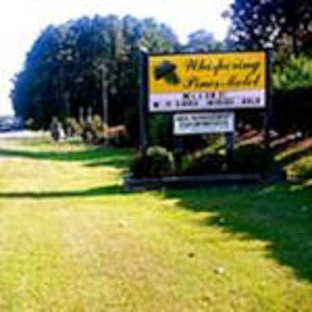The Whispering Pines Motel- Whitestone White Stone Extérieur photo