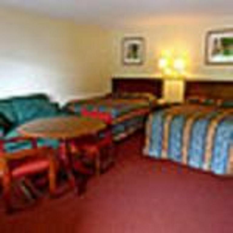 The Whispering Pines Motel- Whitestone White Stone Extérieur photo