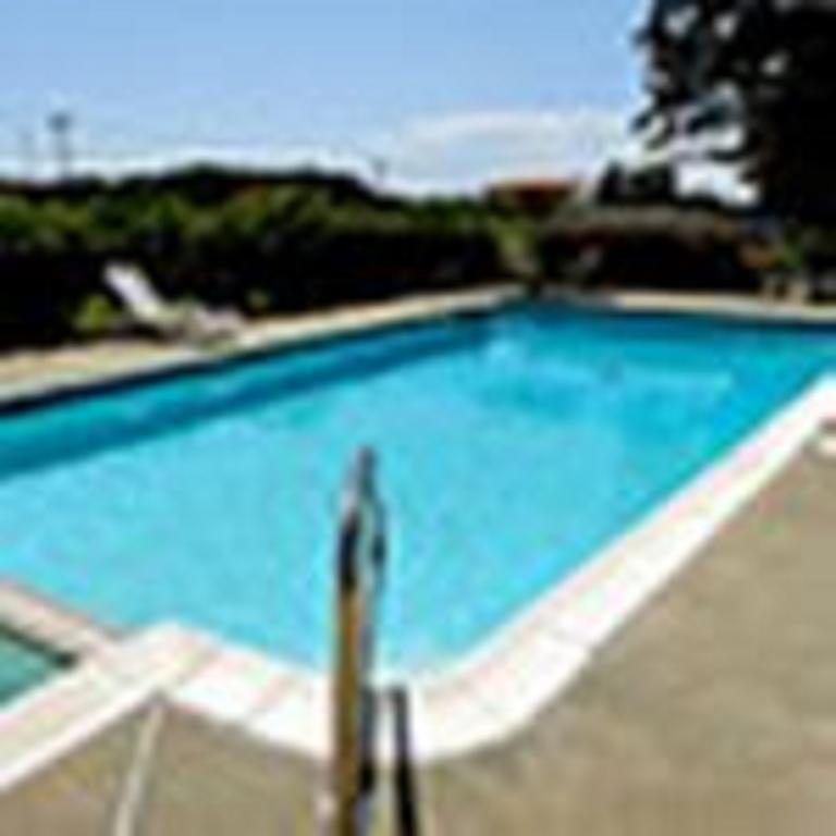 The Whispering Pines Motel- Whitestone White Stone Extérieur photo