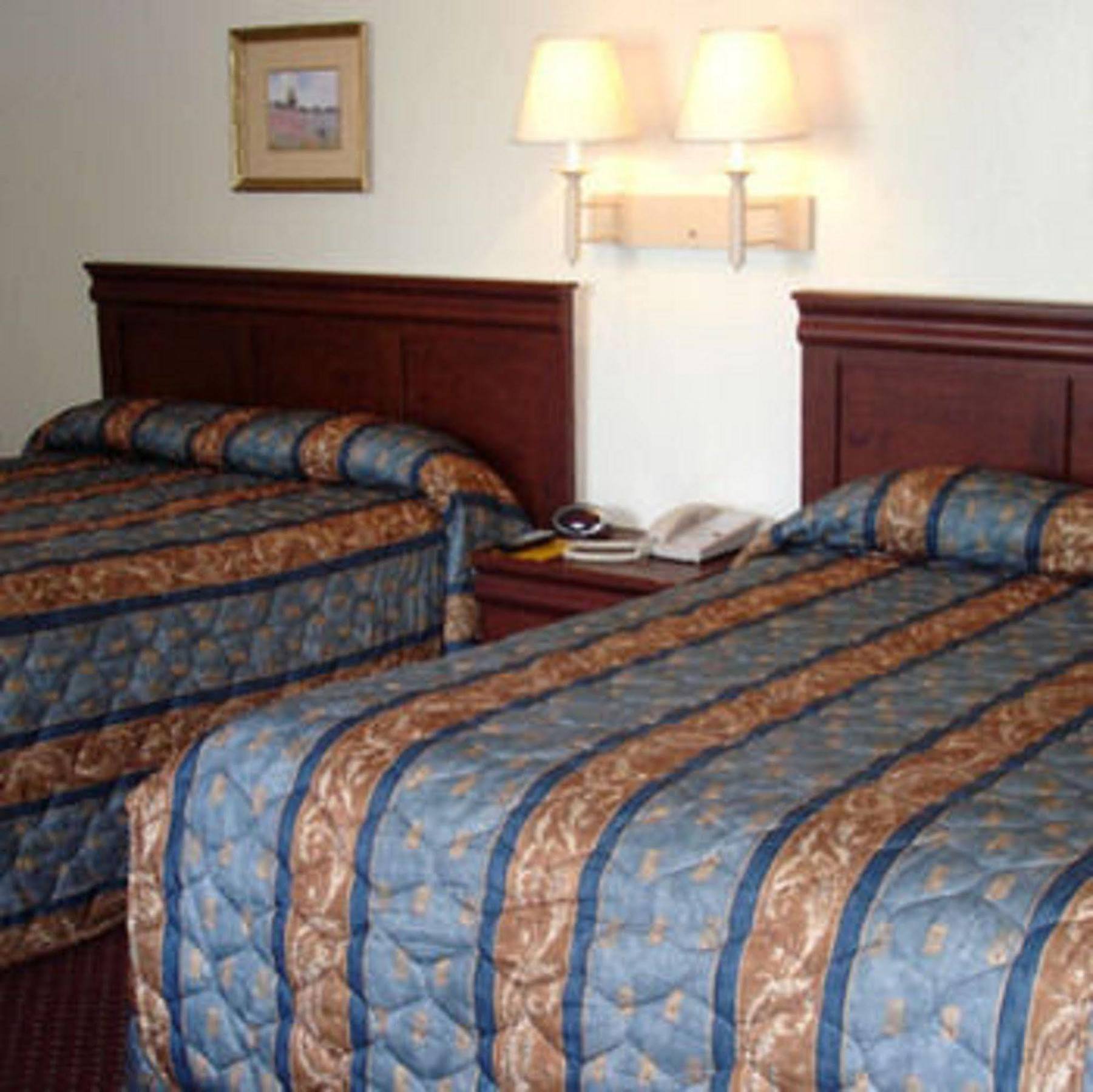 The Whispering Pines Motel- Whitestone White Stone Chambre photo
