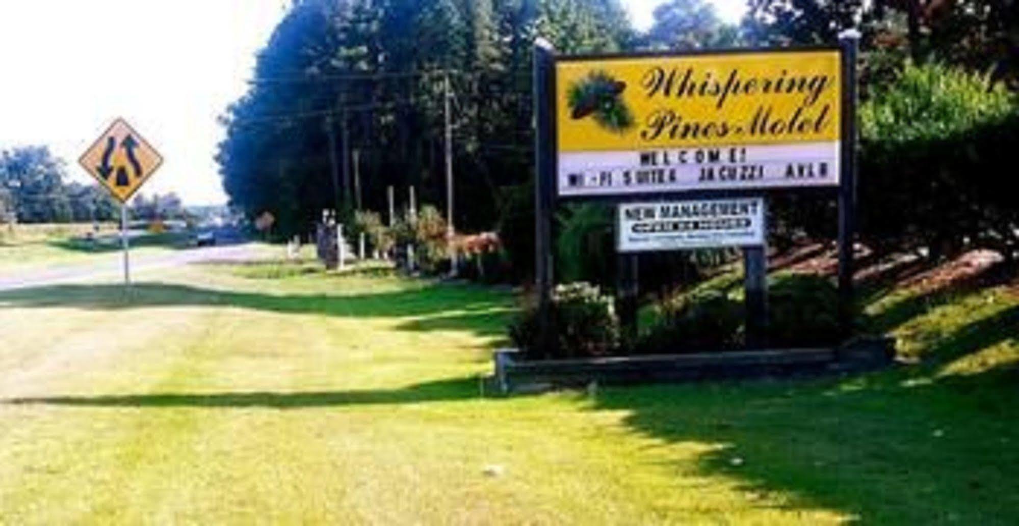 The Whispering Pines Motel- Whitestone White Stone Extérieur photo